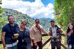 Monteverde: Cloud Forest Guided Walk