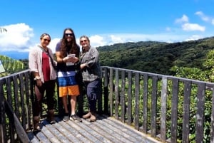 Monteverde: Cloud Forest Guided Walk