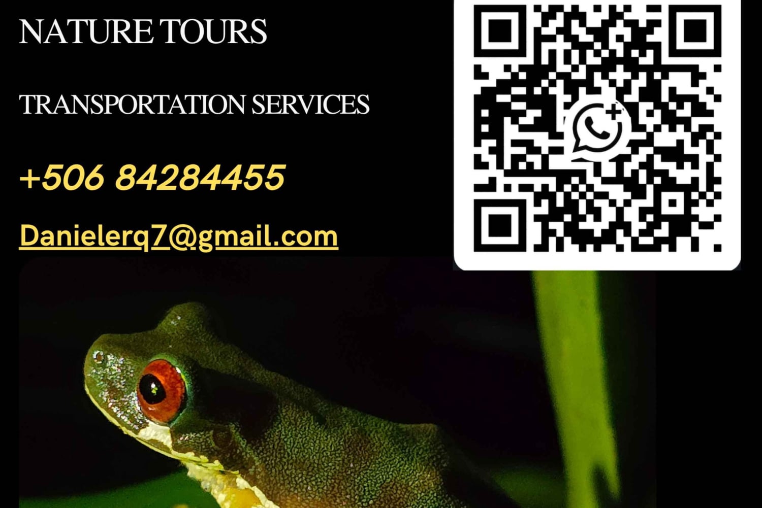 Monteverde: Skyskogturen med en lokal guide