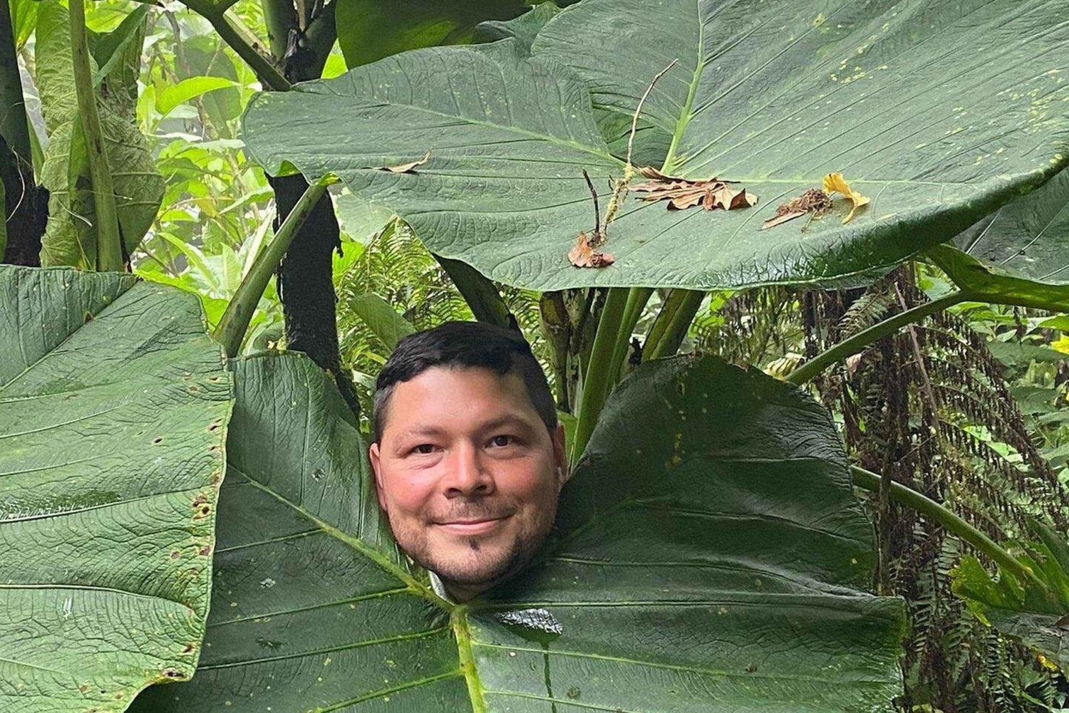 Monteverde: wycieczka z przewodnikiem po lesie mglistym + zdjęcia