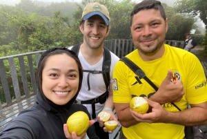 Monteverde: Guidad tur i molnskogen med foton