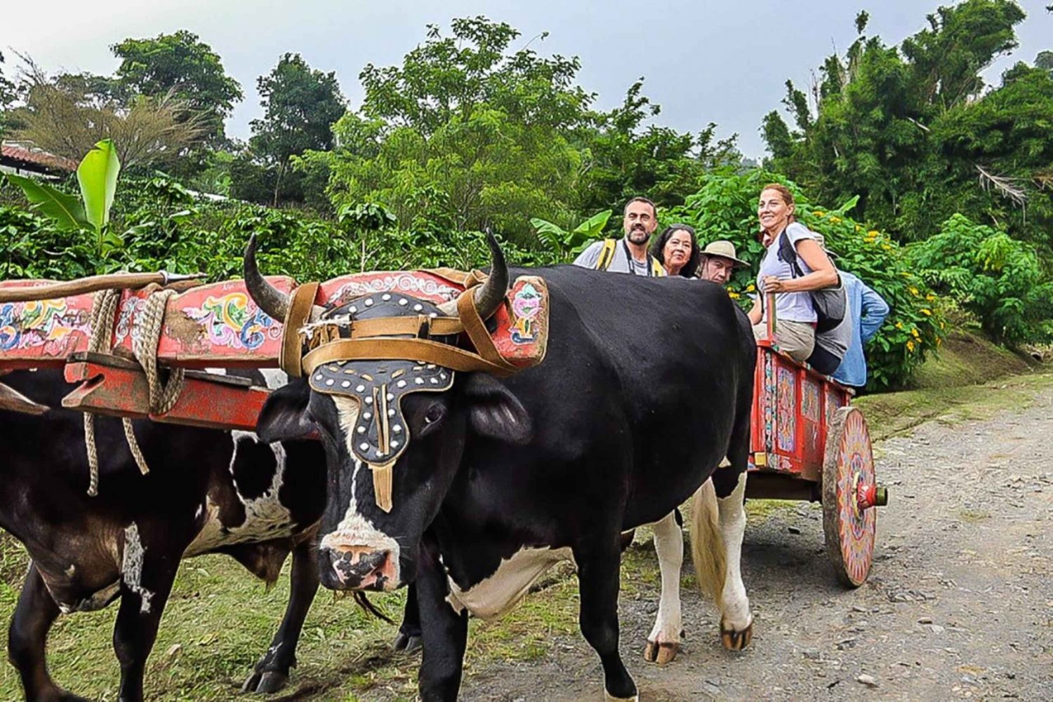 Monteverde: Tagesausflug zu Kaffee, Schokolade und Zuckerrohr