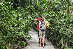 Monteverde : Excursion d'une journée au café, au chocolat et à la canne à sucre