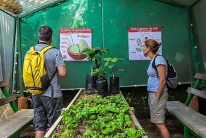 Monteverde: Dagstur til kaffe, sjokolade og sukkerrør