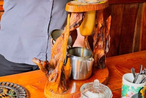 Монтеверде: тур «Кофе, шоколад и сахарный тростник»