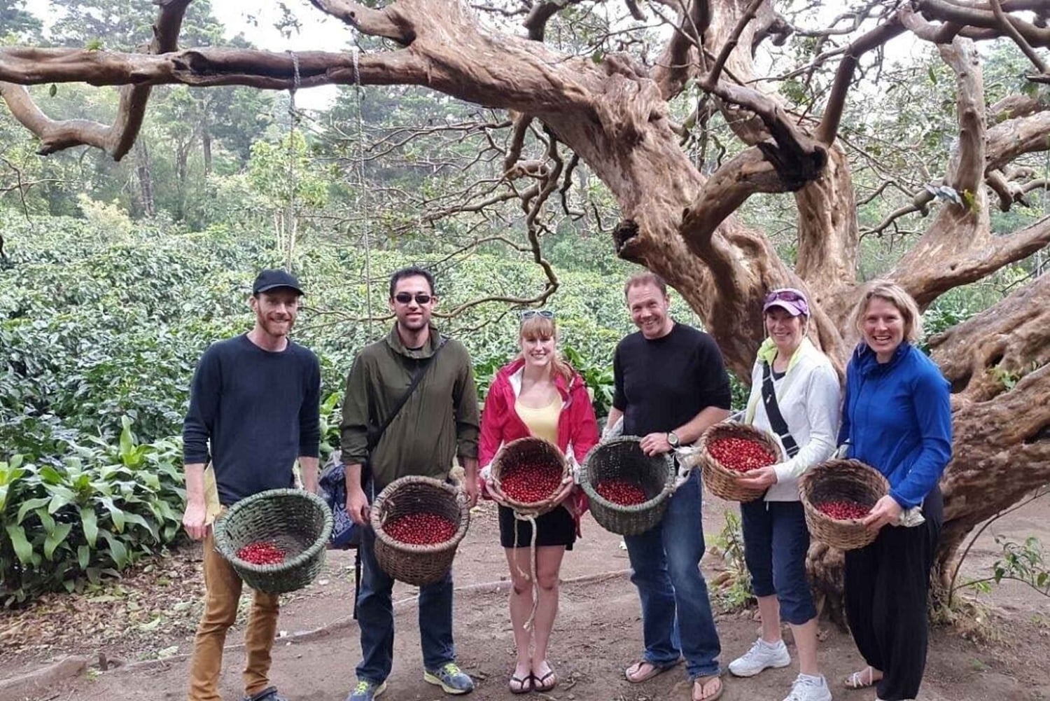 Monteverde: Zwiedzanie farmy i palarni kawy z degustacją