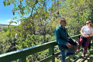 Monteverde: Visita a la finca y tostadero de café con degustación