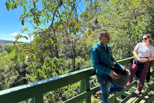 Monteverde: Zwiedzanie farmy i palarni kawy z degustacją