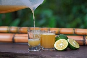 Monteverde: tour del café, la caña de azúcar y el chocolate