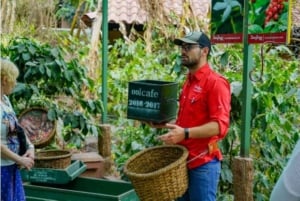 Monteverde: Kahvi-, sokeriruoko- ja suklaakierros