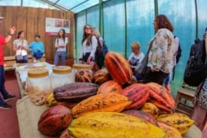 Monteverde: Kahvi-, sokeriruoko- ja suklaakierros
