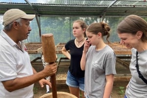 Monteverde: kahvikierros ja sokeriruoko El Pueblossa