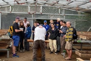 Monteverde: kahvikierros ja sokeriruoko El Pueblossa