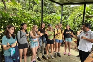 Monteverde: kahvikierros ja sokeriruoko El Pueblossa