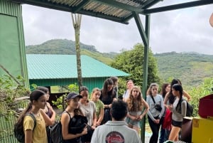 Monteverde: kahvikierros ja sokeriruoko El Pueblossa