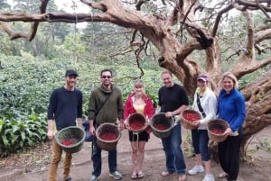 Monteverde: Visita a la finca y tostadero de café con degustación