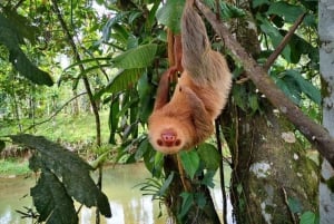 Monteverde: Curi-Cancha Reserve Tour with Entry Ticket