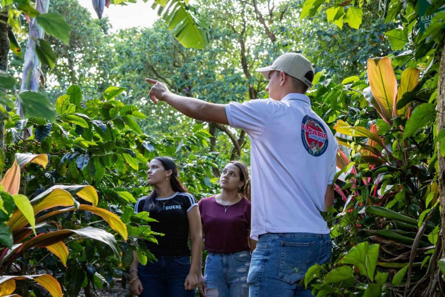 Monteverde: El Pueblo Coffee Tour and Sugar Cane.