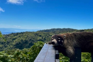 Monteverde: verken het nevelwoud