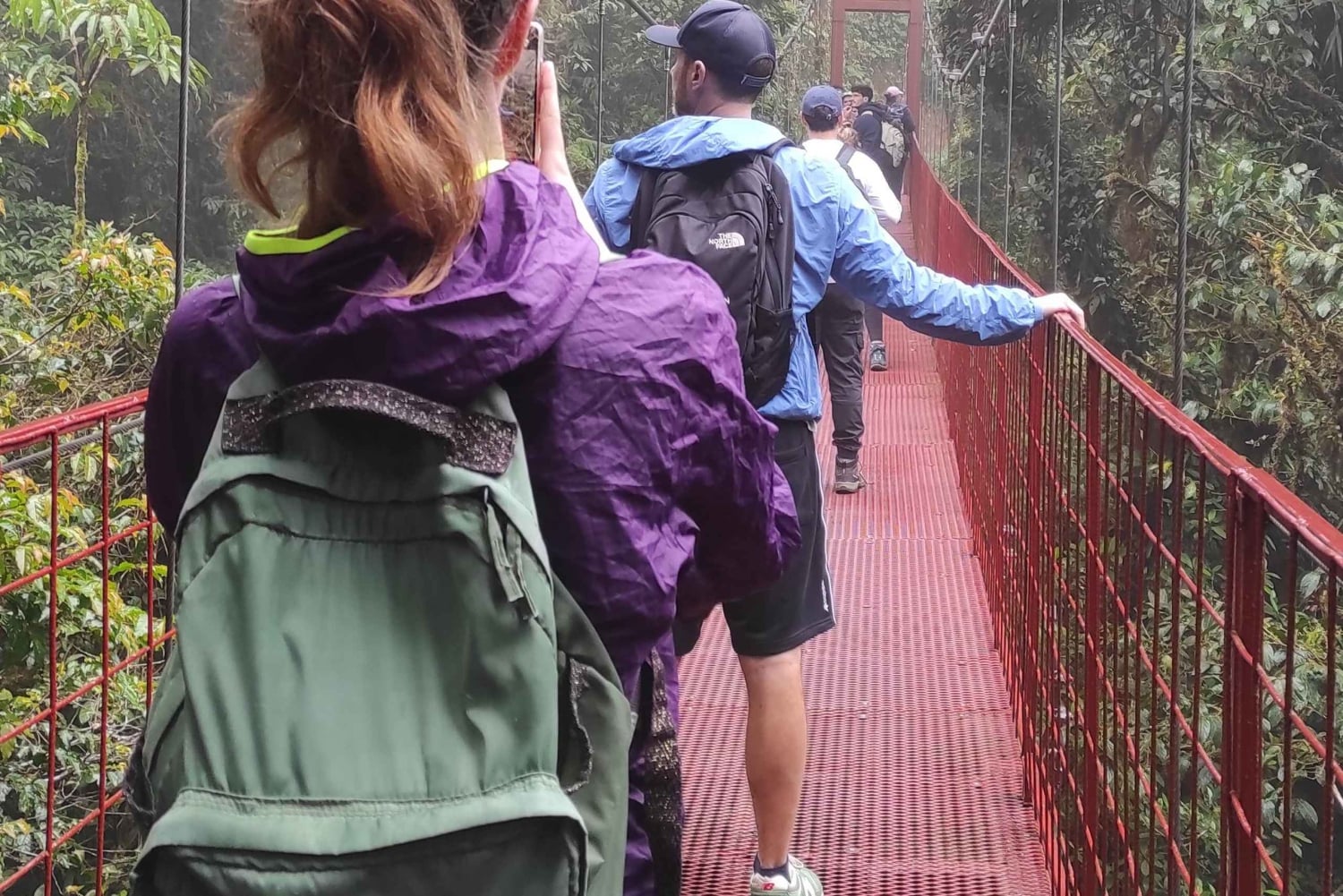 Monteverde: Exploring the Cloud forest