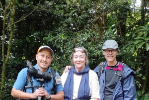 Monteverde: Exploring the Cloud forest