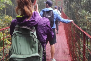 Monteverde: Exploring the Cloud forest