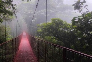 Monteverde: Exploring the Cloud forest