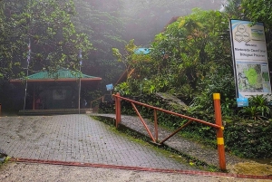 Monteverde: Exploring the Cloud forest