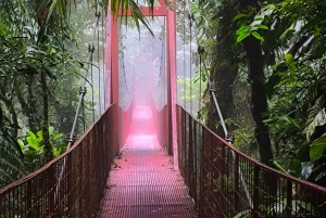 Monteverde: Exploring the Cloud forest