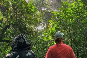 Monteverde: Exploring the Cloud forest