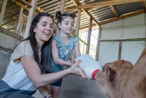 Monteverde: Rundtur på ostgården Finca El Paraiso
