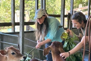 Monteverde: Rundtur på ostgården Finca El Paraiso