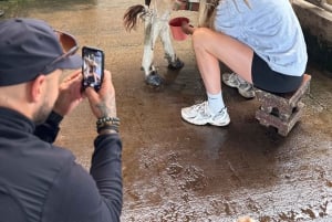 Monteverde: Rundtur på ostgården Finca El Paraiso