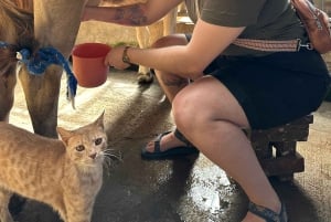 Monteverde: Rundtur på ostgården Finca El Paraiso