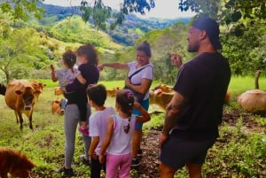Monteverde: Rundtur på ostgården Finca El Paraiso