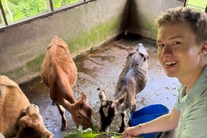Monteverde: Rundtur på ostgården Finca El Paraiso