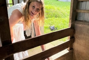 Monteverde: Rundtur på ostgården Finca El Paraiso