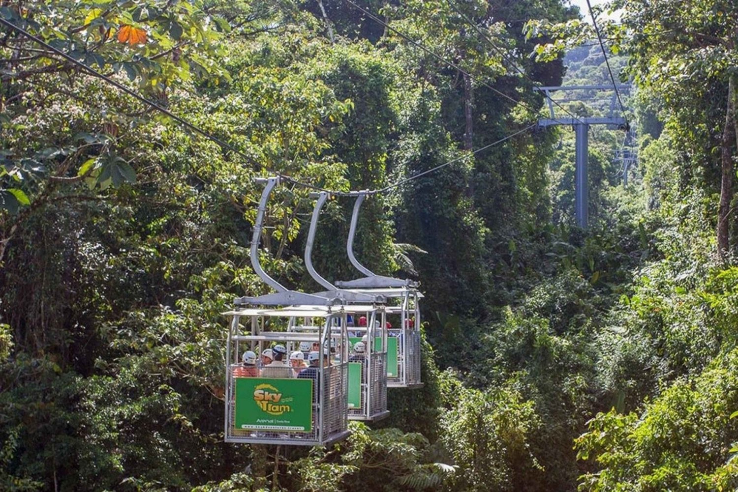 Monteverde: Guided Cloud Forest Canopy Tour with Zip Lining