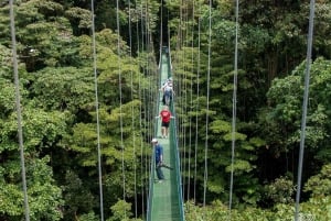 Monteverde: Guided Cloud Forest Canopy Tour with Zip Lining