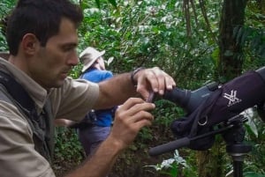 Monteverde Regenerative Cloud Forest Walk