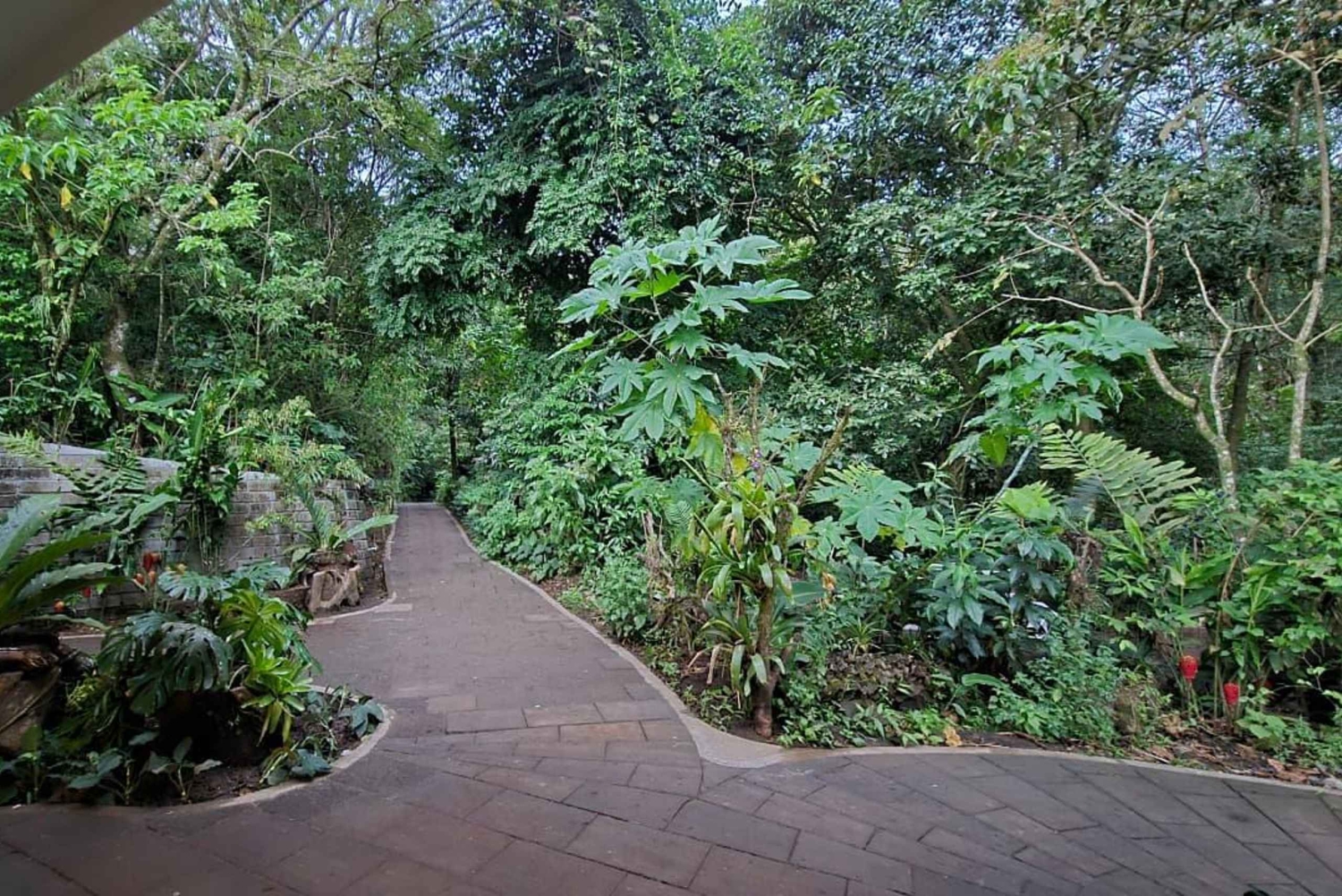 Monteverde: Guided Night Hike