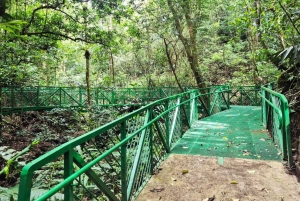 Monteverde: Guided Night Hike