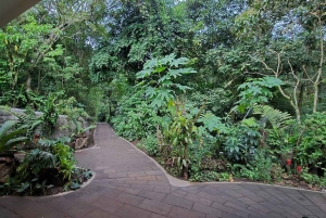 Monteverde: Guided Night Hike