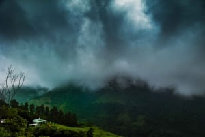Monteverde: Halbtägige Vogelbeobachtungstour