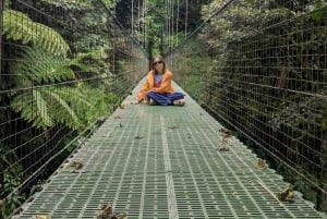 Monteverde: Hanging Bridges in the Cloud Forest Guided Tour