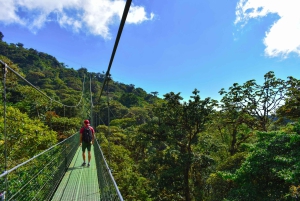 Monteverde: Tour guidato dei ponti sospesi nella foresta nuvolosa