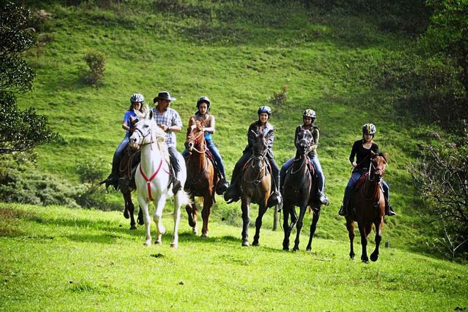Monteverde: tour a cavallo
