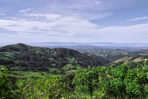 Monteverde: Reittour