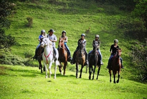 Monteverde: Ridning på hästryggen