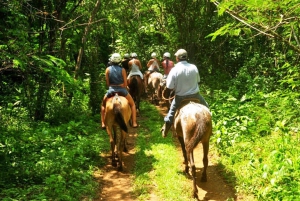 Monteverde: Ridetur på hesteryg